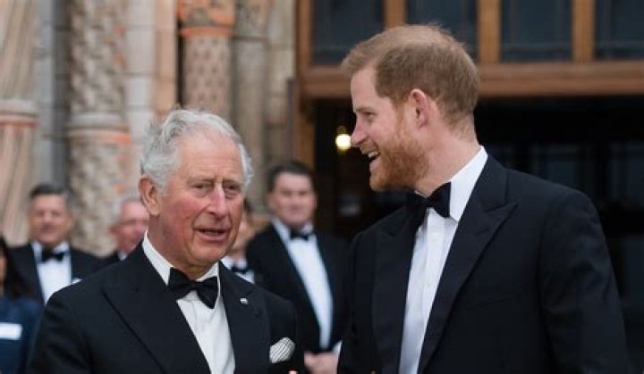 Charles Still Hasn't Forgiven Harry for "Anguish" He Caused the Queen, Expert Says