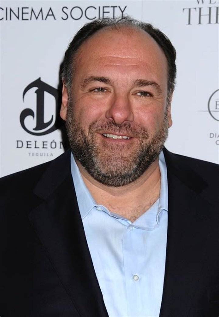 See the Original "Sopranos" Actors vs. Who's Playing Them in the Prequel